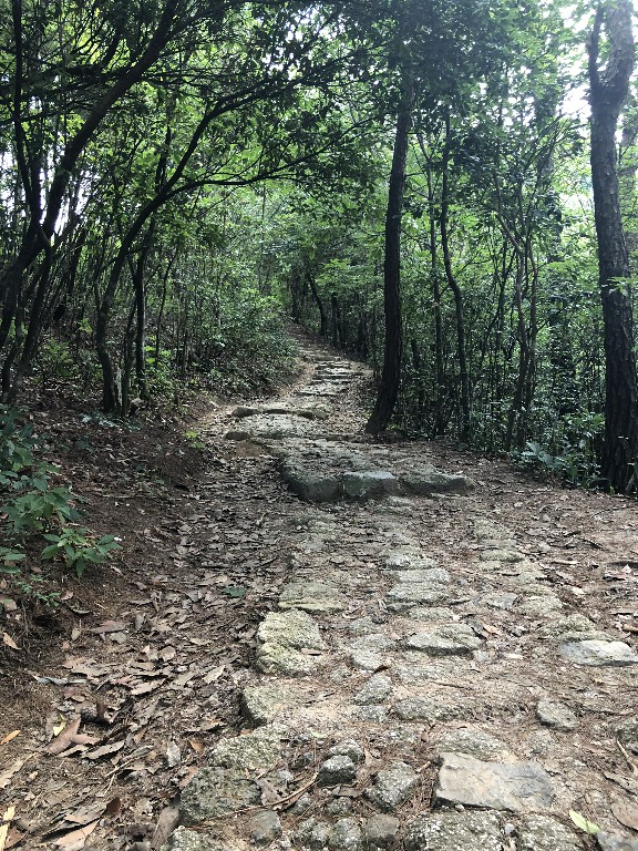 中文博彩网站