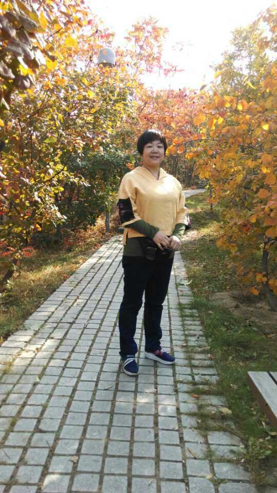 中文博彩网站