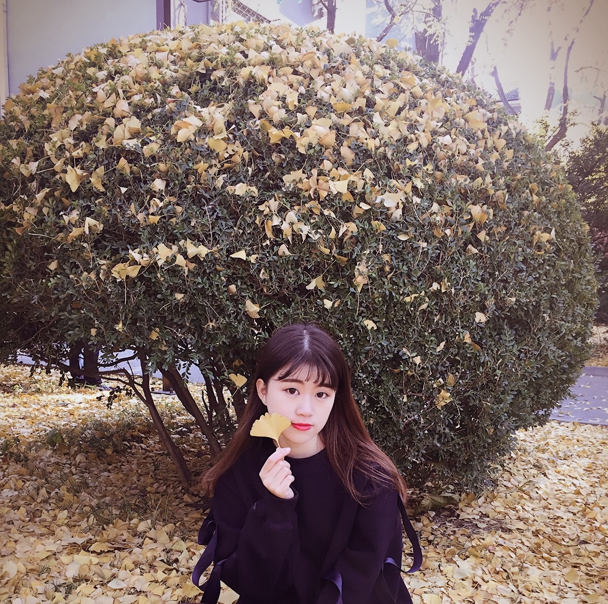 中文博彩网站