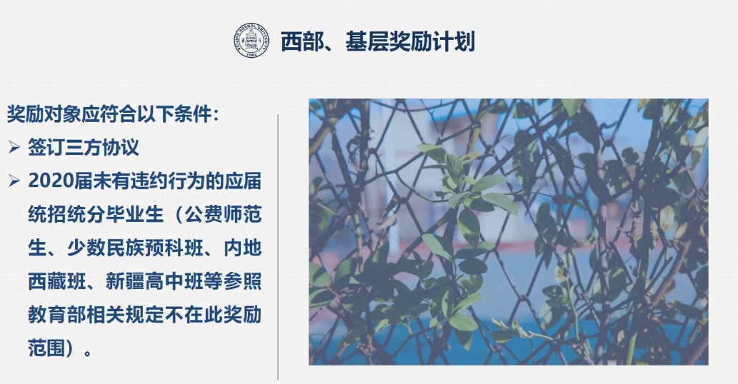 中文博彩网站
